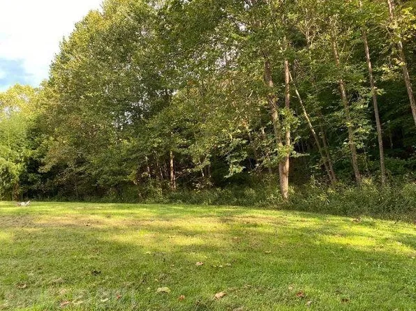 Pine Run Rd, Draper, VA 24324