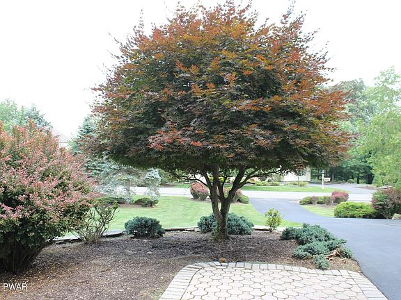 3rd image of 70 Winding Wall Dr