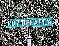 2nd image of Opeapea Road Rd #7-lot 4483