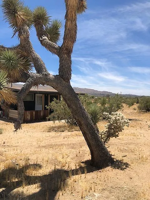Desert Trail Dr, Joshua Tree — Photo 3