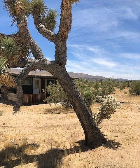 Secluded Hideaway on 5 ACRES!