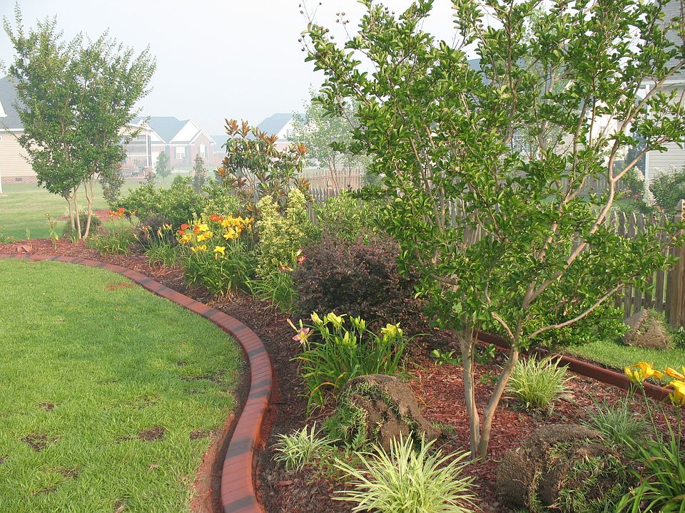 Tree, Shrub, and Flower Bed in Back Yard