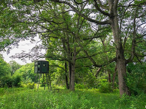 9th image of this home