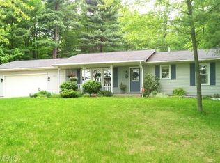 15238 Larsen Ave NE, Gowen, MI 49326