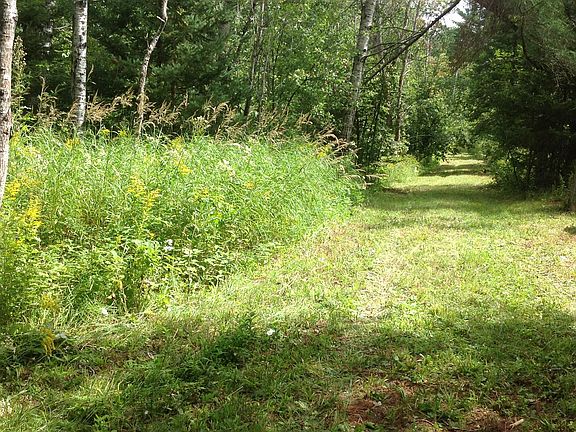 5th image of 13389 S Scenic Dr