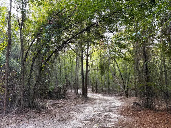 0 George L Smith State Park Rd, Twin City, GA 30471