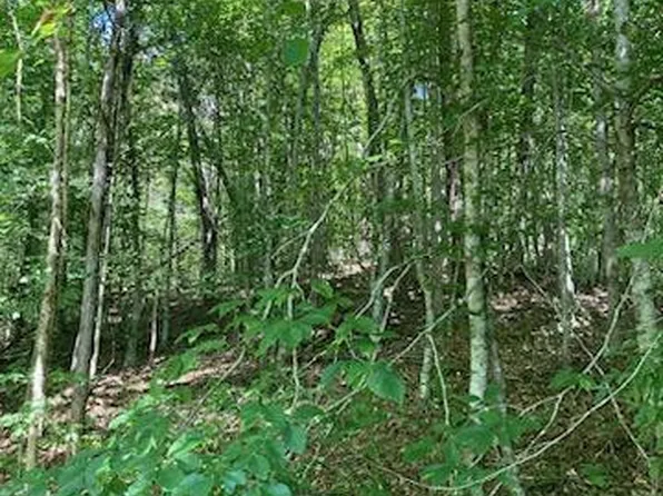 0 Off Chapman Highway Tarwater, Sevierville, TN 37876