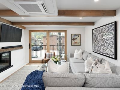 901 E Hyman Ave #5, Aspen, CO, 81611