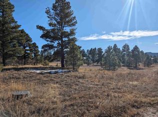 129 Park Ave, Pagosa Springs, CO 81147