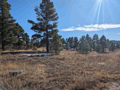 129 Park Avenue, Pagosa Springs, CO, 81147