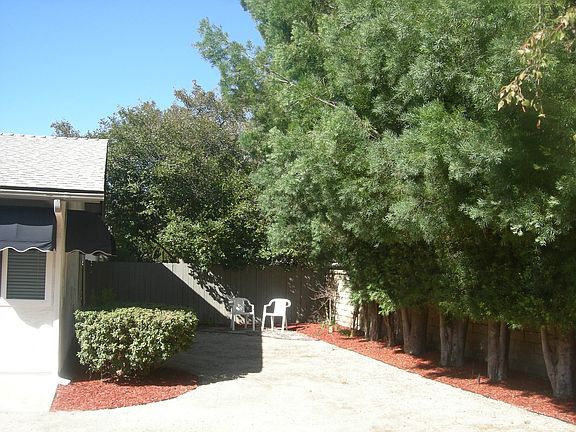 BACK YARD VIEW 1