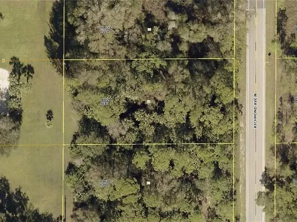 1317 Richmond AVE N, LEHIGH ACRES, FL 33972