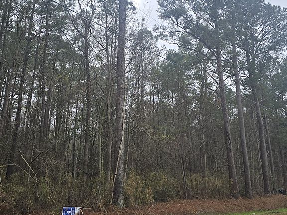 2nd image of 8 Jim Blake Rd #8