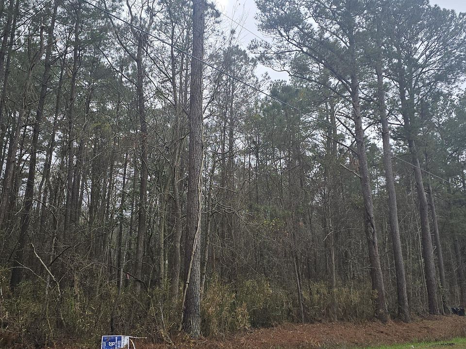 2nd image of 8 Jim Blake Rd #8