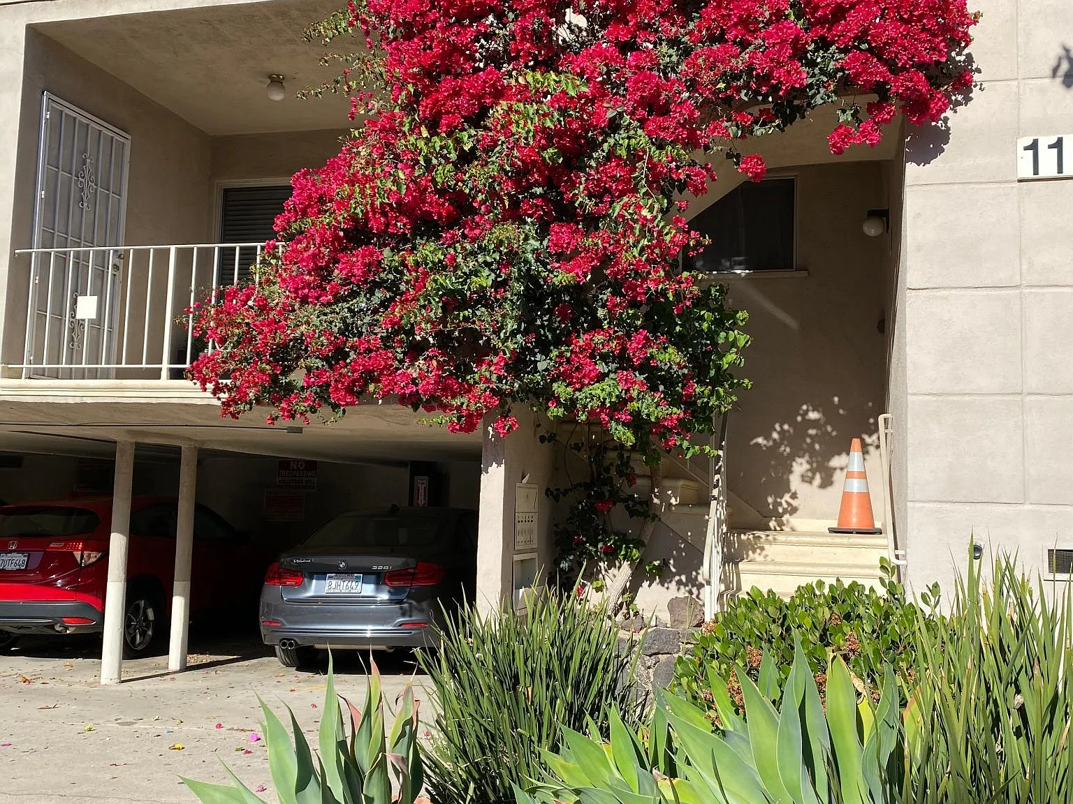 1 bed, 750 sqft, $2,595 — Photo 2