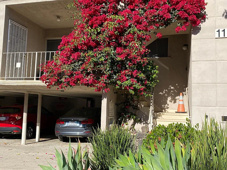 1173 N Curson Ave #7 — Photo 2