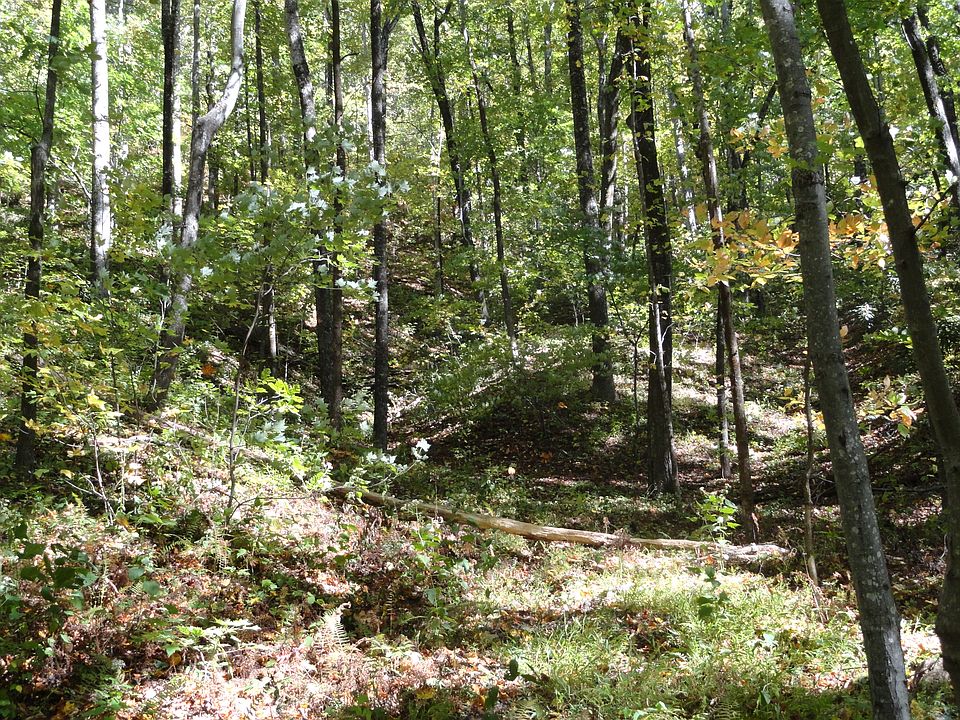 View from paved road.