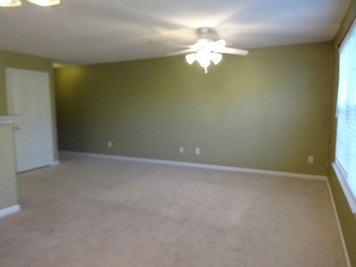 3rd image of 289 Swaying Pine Ct
