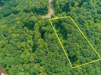 Andes Rdg LOT 288, Ellijay, GA, 30536