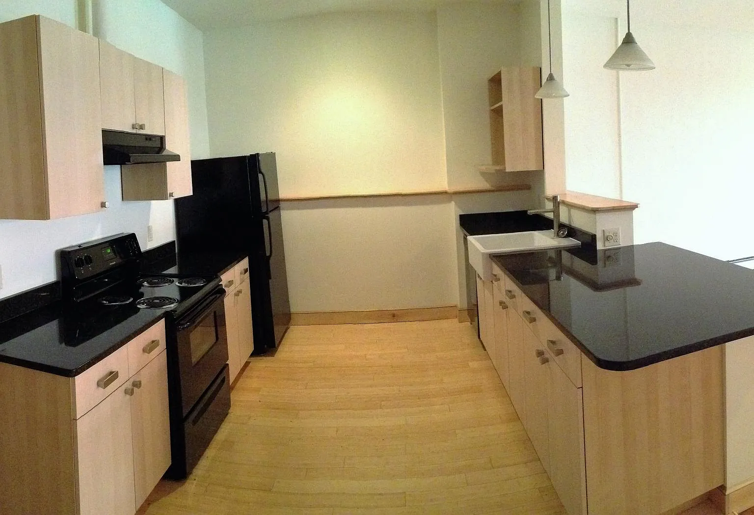 1 bed, 1050 sqft, $1,600 — Photo 3