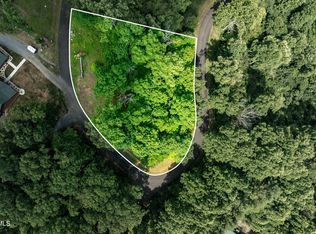 LOT 18 Ridge Run, Butler, TN 37640