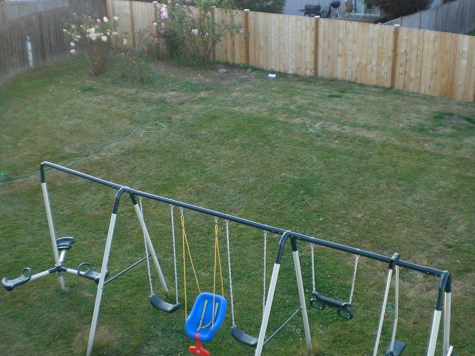 View from Back Deck