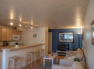 731 E Durant Ave #PT 24, Aspen, CO 81611