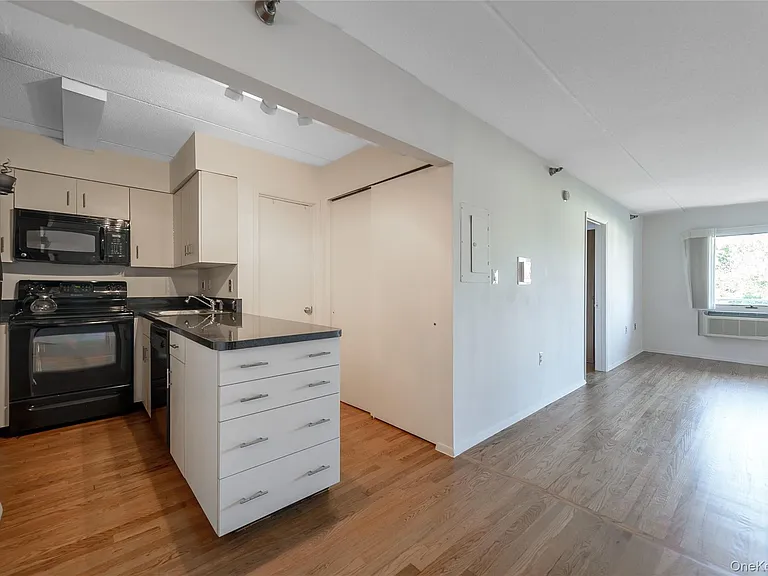 205 Mineola Blvd #3G — Photo 11