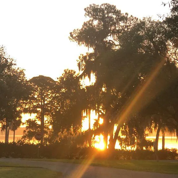 Sunrise from our front yard!