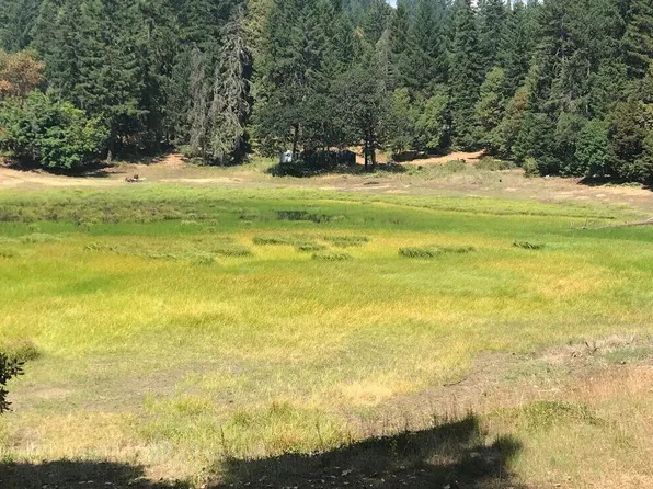 1255 McDonald Creek Rd, Burnt Ranch, CA 95527