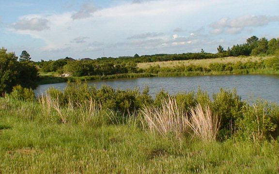 View of pond