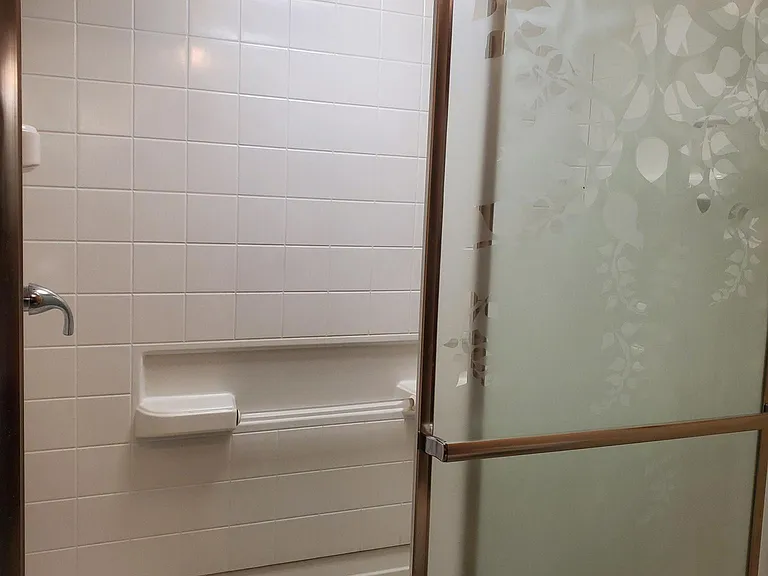 Master bathroom shower.