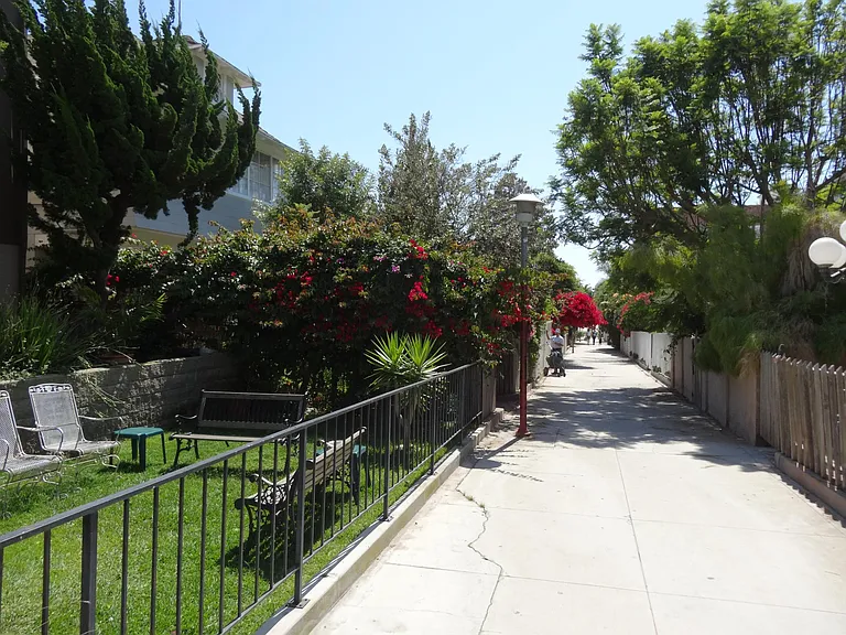 48 Paloma Ave #5 — Photo 18