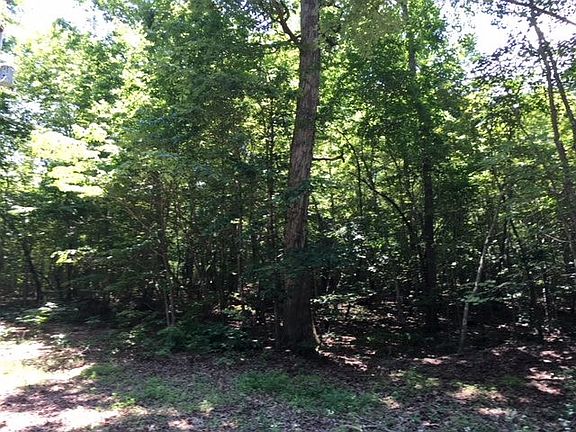 3rd image of LOT 9 Arbor Ln Lot 9