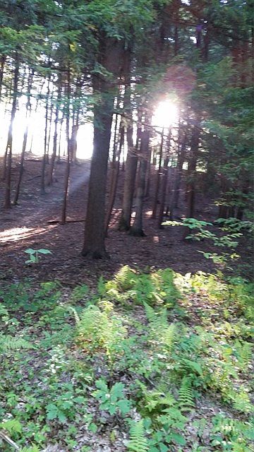1st image of 0 Hemlock Ln