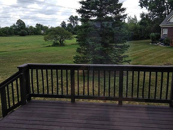 View of backyard