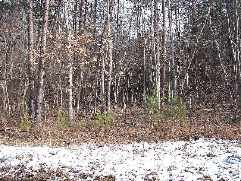 1st image of 221 Cattail Rd