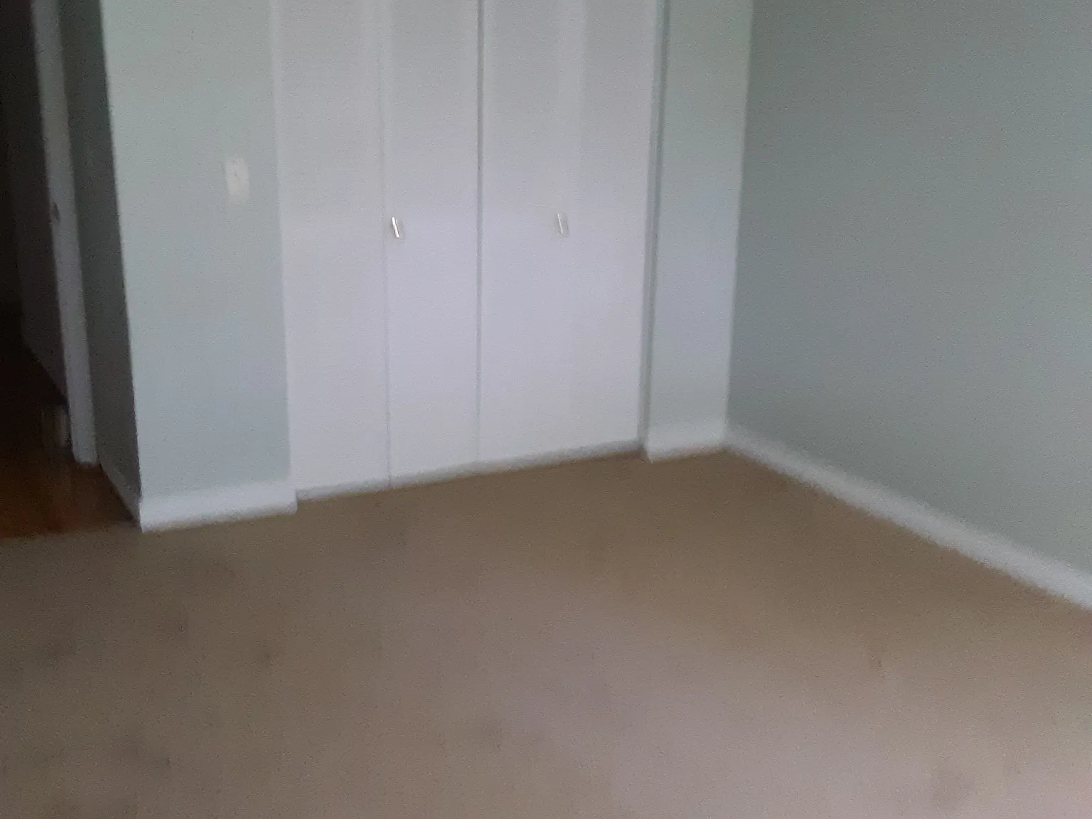 1 bed, 700 sqft, $1,495 — Photo 3