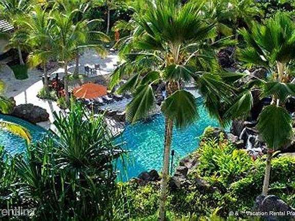 Swim under the swaying palms
