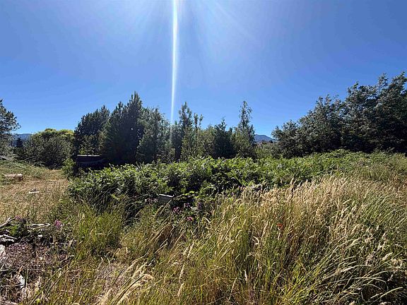 4th image of E Jessie & Alder Lots