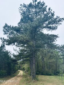 0 Elem Tyler Rd, Monticello, MS, 39654