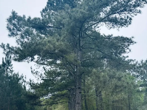 0 Elem Tyler Rd, Monticello, MS 39654