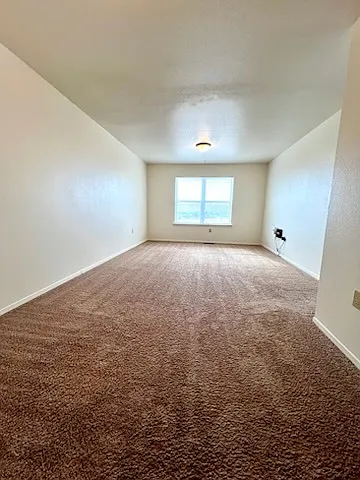353 Mickelson Ct — Photo 4
