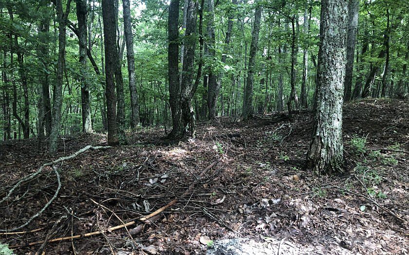 2nd image of 7 Eagle Top Ln