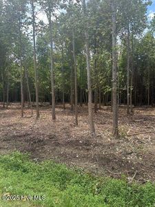 1447 Roosevelt Spain Rd #19, Greenville, NC, 27834
