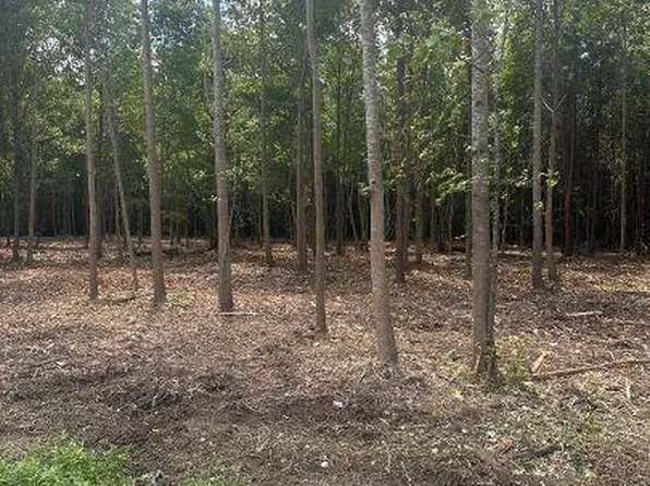 1447 Roosevelt Spain Rd #19, Greenville, NC 27834