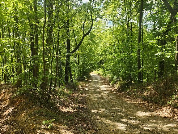 3rd image of 3924 Pearson Mountain Road