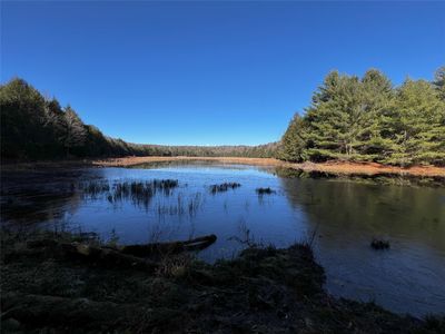 308 Tennent Rd, SANFORD, NY, 13865