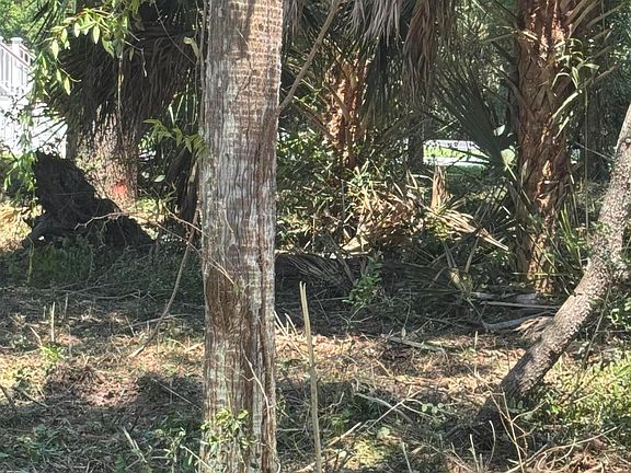 3rd image of 609 Jungle Rd