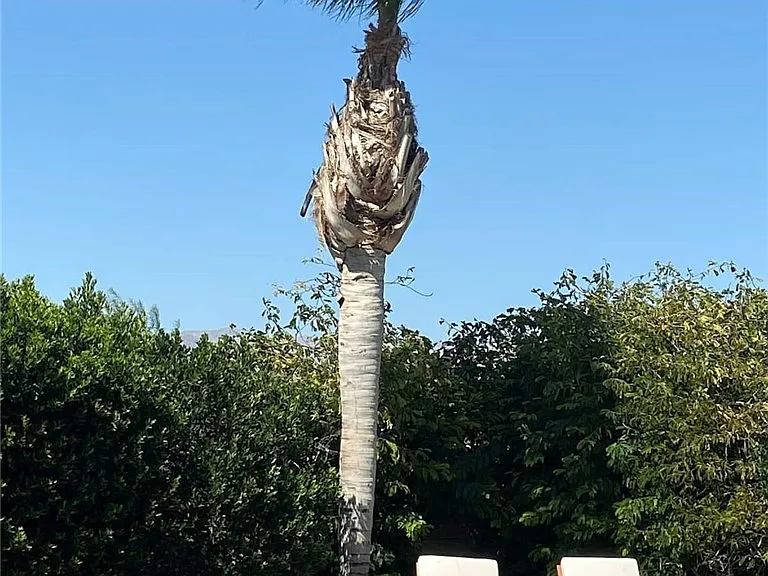 44270 Camino Lavanda — Photo 33